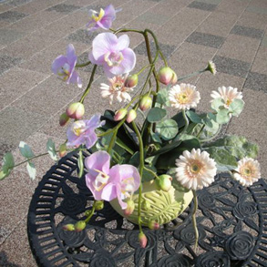 ���� �t�����[�A�����W